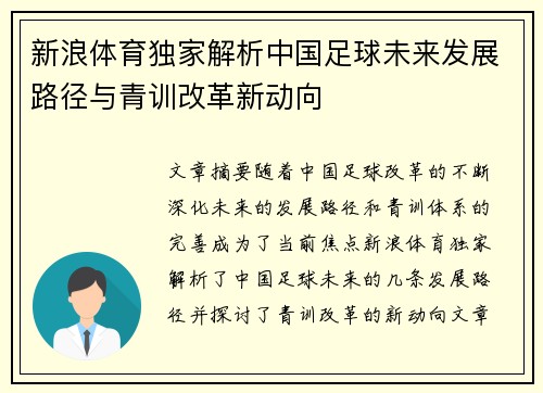 新浪体育独家解析中国足球未来发展路径与青训改革新动向